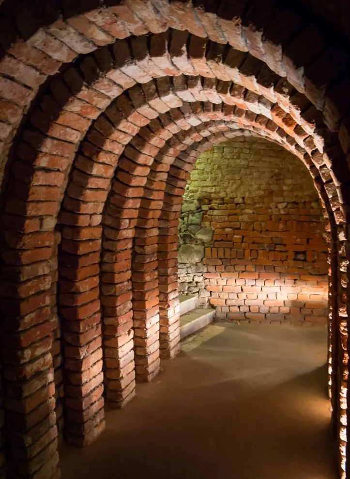 Doświadczony przewodnik Sandomierz