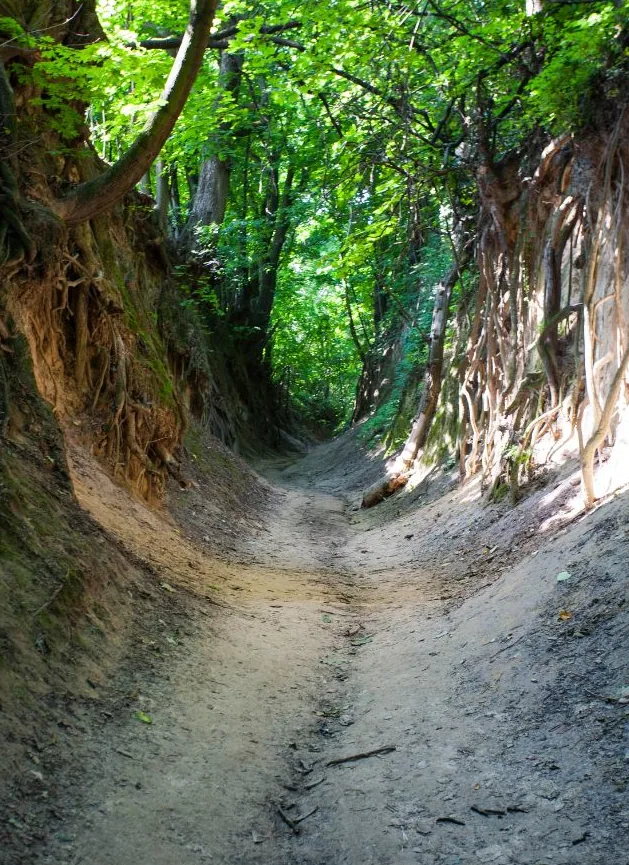 Wycieczki grupowe Sandomierz