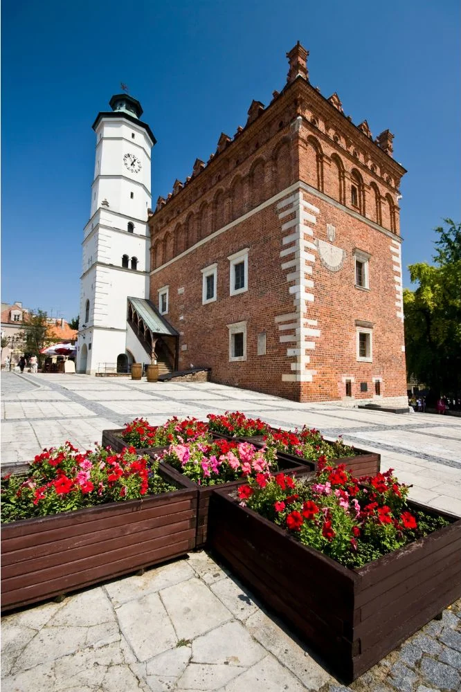 Rynek główny w Sanomierzu